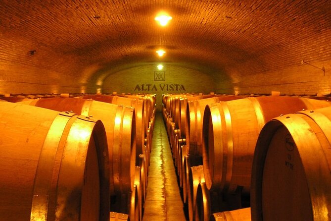 Mendoza Wine Tour with Lunch - LAUR: a welcome break from wine