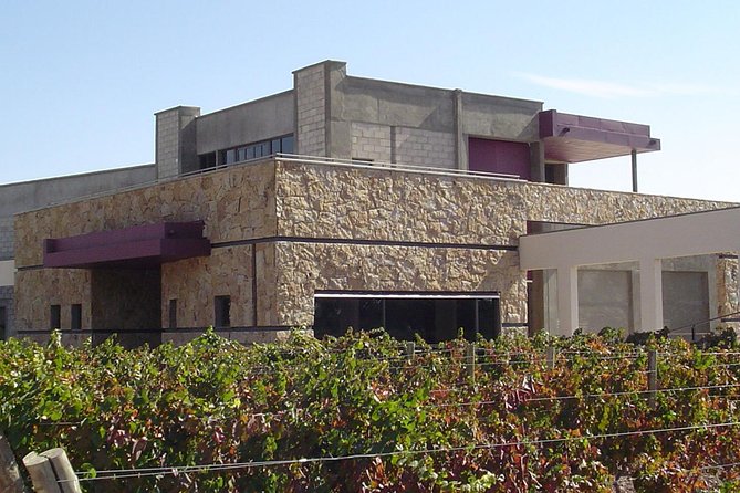 Mendoza Wine Tour with Lunch - Trivento and the scale of Argentine wine