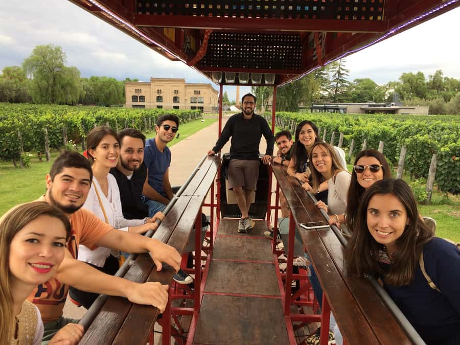 Mendoza: Winebike Tasting Tour with Optional Lunch - Key things to know before you book