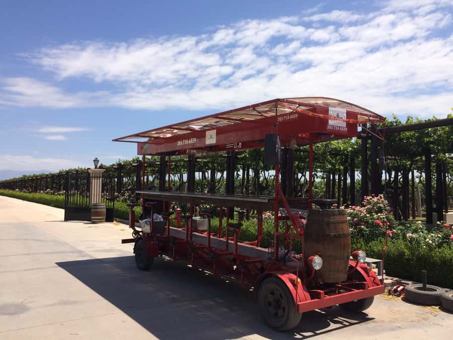 Mendoza: Winebike Tasting Tour with Optional Lunch - Starting at Carinae, one of Mendoza’s oldest wineries