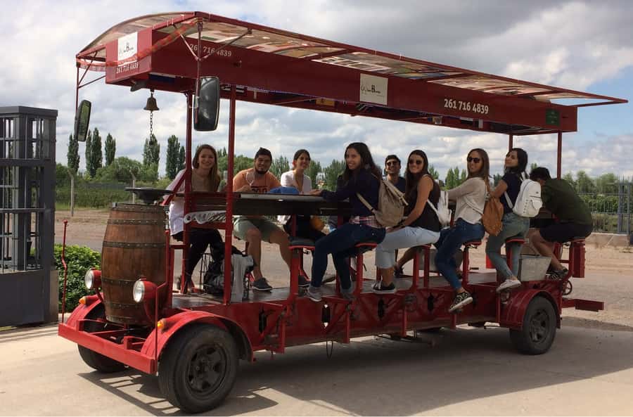 Mendoza: Winebike Tasting Tour with Optional Lunch - Pedaling through the vineyards on a multi-bike