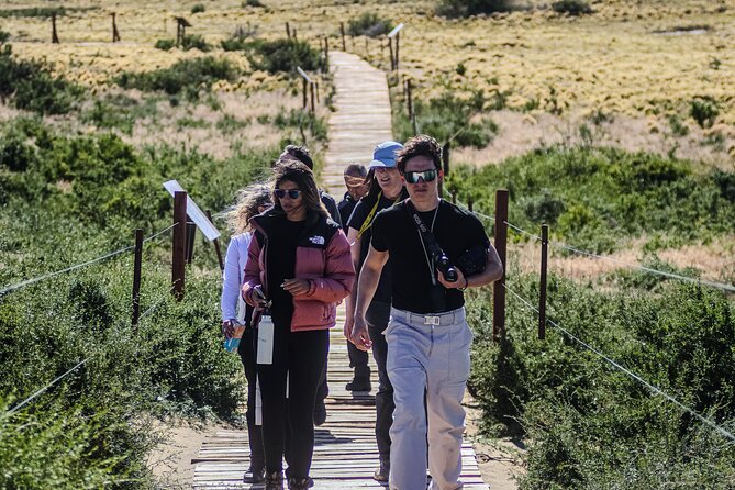 Monte Leon 4x4 Sea Lions and Penguins - Why Monte León is worth the long ride