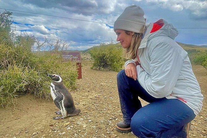 Monte Leon 4x4 Sea Lions and Penguins - Guiding, language, and the group experience