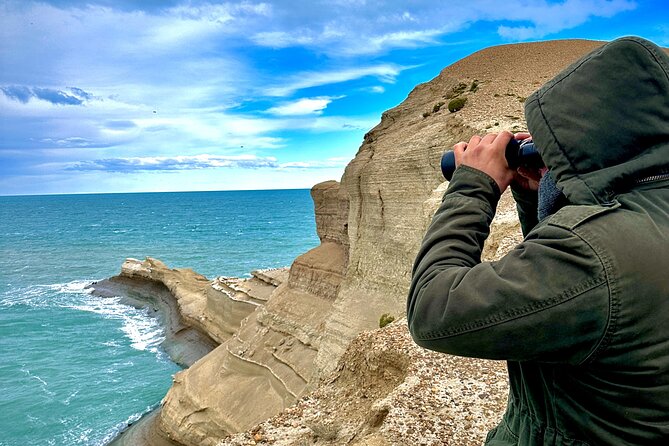 Monte Leon 4x4 Sea Lions and Penguins - Who should book this 14-hour adventure