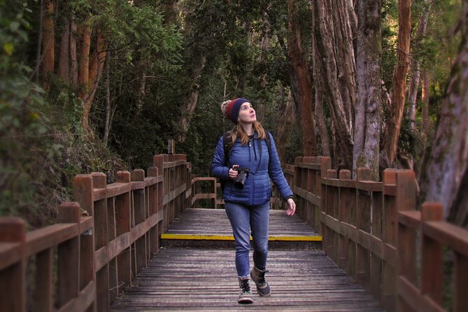 Nahuel Huapi Lake Cruise with Victoria Island and Arrayan Forest Walk - Victoria Island, forest trails, and Toro Beach