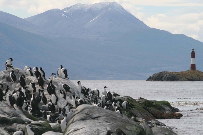 Navigate through the Beagle Channel: Seal, Bird & Penguin Islands - Across the channel toward Chile