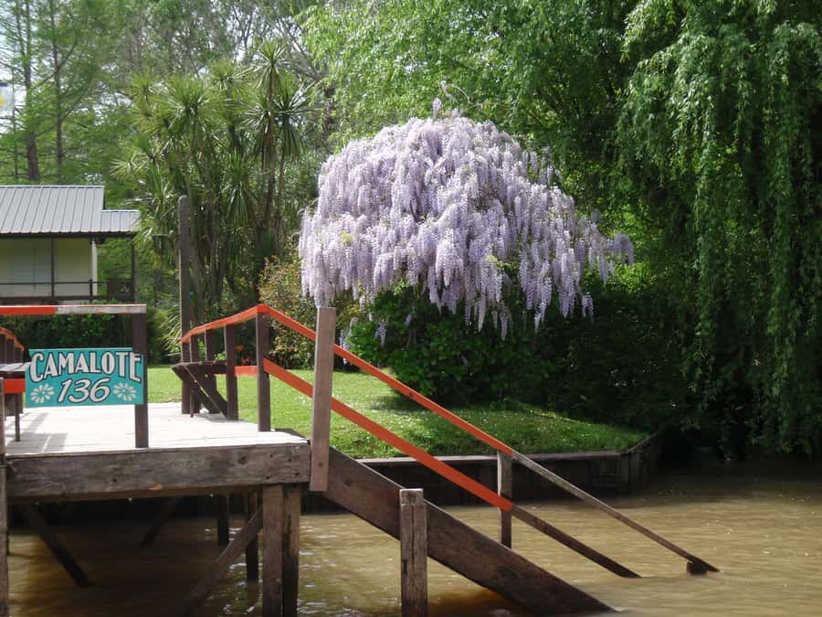 Navigation in Delta of Tigre - Exclusive semi private tour - FAQ