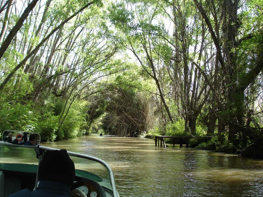 Navigation in Delta of Tigre - Exclusive semi private tour - Why a small speedboat changes the Tigre Delta experience