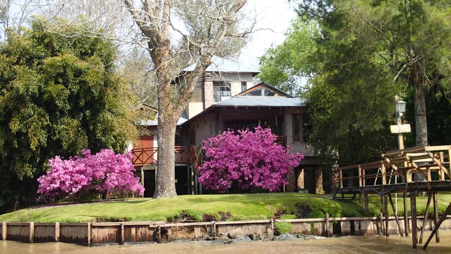 Navigation in Delta of Tigre - Exclusive semi private tour - A peaceful half-day, with room for questions
