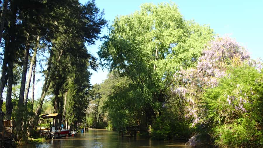 Navigation in Delta of Tigre - Exclusive semi private tour - What the $135 price really covers