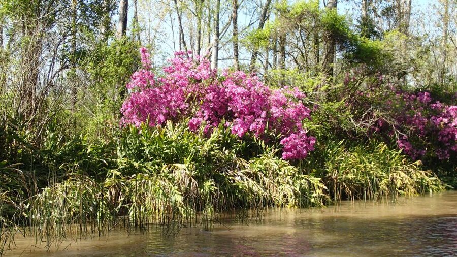 Navigation in Delta of Tigre - Exclusive semi private tour - Who should book this tour