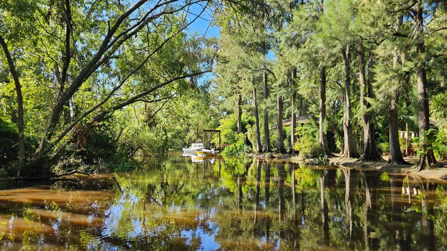 Navigation in Delta of Tigre - Exclusive semi private tour - Buenos Aires pickup and the road to Tigre