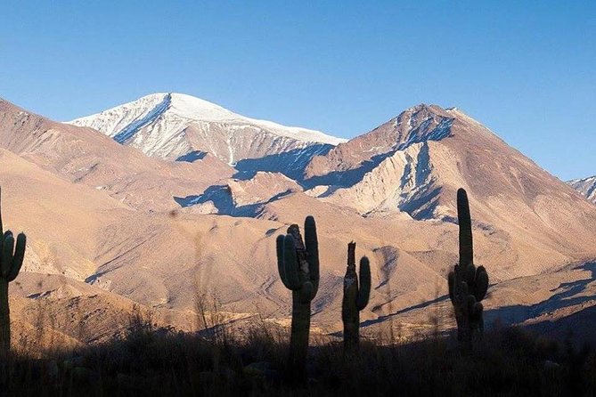 One Day Tour of Cachi and Calchaquí Valleys from Salta - Why this route is worth a full day