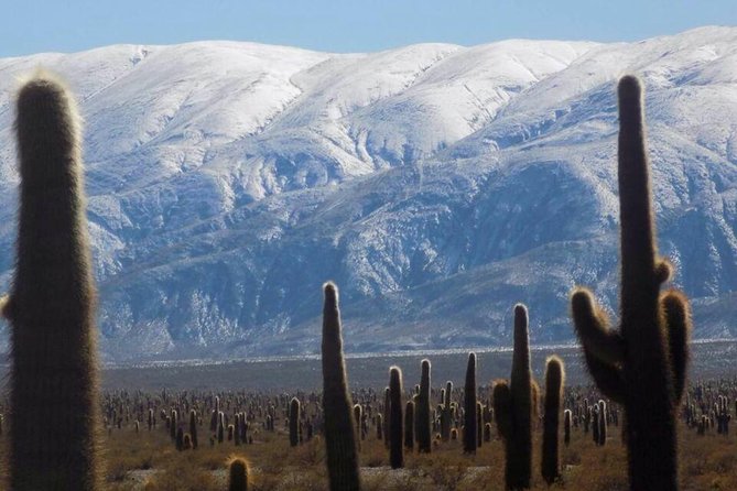 One Day Tour of Cachi and Calchaquí Valleys from Salta - Starting in Salta at 6:30 a.m.
