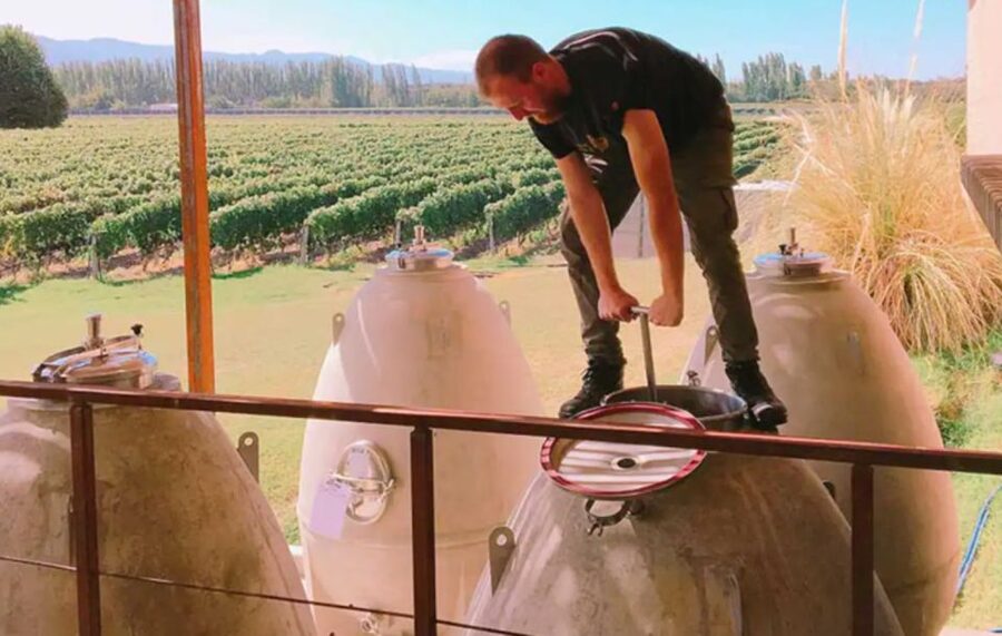 Organic & Biodynamic Wine Adventure in Mendoza - Practical tips for getting more from the experience