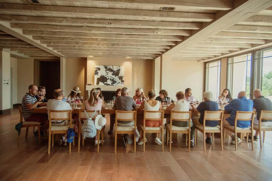 Organic & Biodynamic Wine Adventure in Mendoza - Why organic wine matters in Mendoza