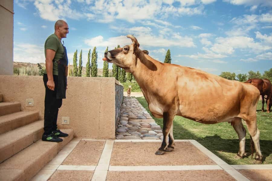 Organic & Biodynamic Wine Adventure in Mendoza - Krontiras Winery and the first taste of biodynamic farming