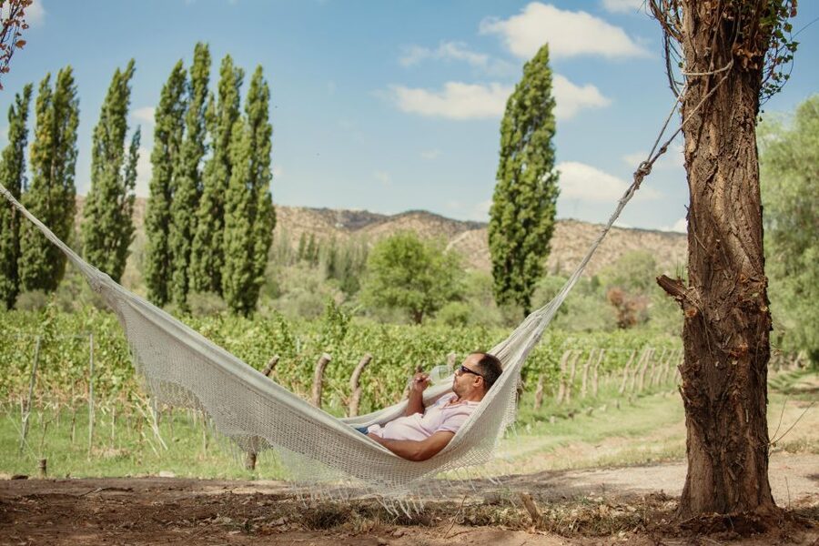 Organic & Biodynamic Wine Adventure in Mendoza - Riccitelli Wines and the human side of winemaking
