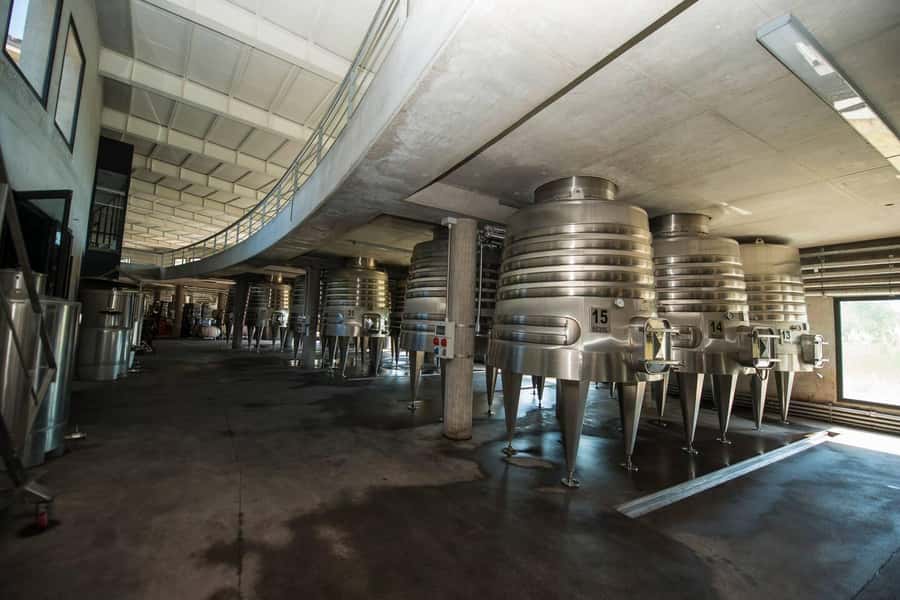 Organic & Biodynamic Wine Adventure in Mendoza - Wine is Art! by Ernesto Catena for lunch and a final point of view