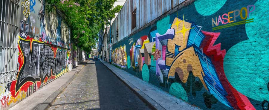 Palermo: Graffiti and Street Art Guided Tour in English - Why 1969 Changed the Look of Buenos Aires