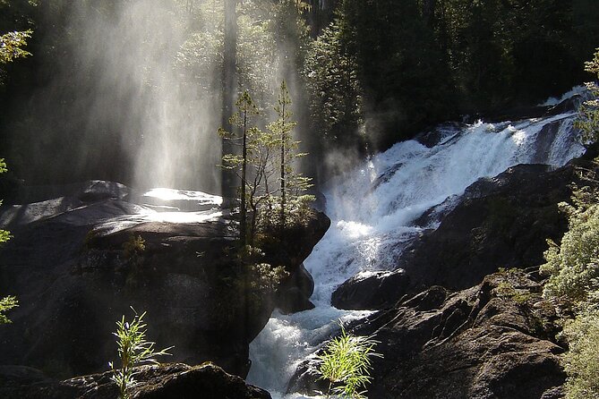 Patagonian Exploration: Blest Port and Los Cántaros Waterfall - What the $194 price really covers