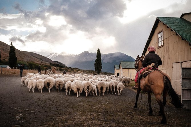 Patagonian Ranch: Nibepo Aike Adventure with Horseback Riding - Key points to know before you book