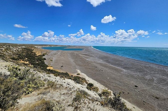 Peninsula Valdés Excursion with Whale Watching Included - Who Will Get the Most From This Tour