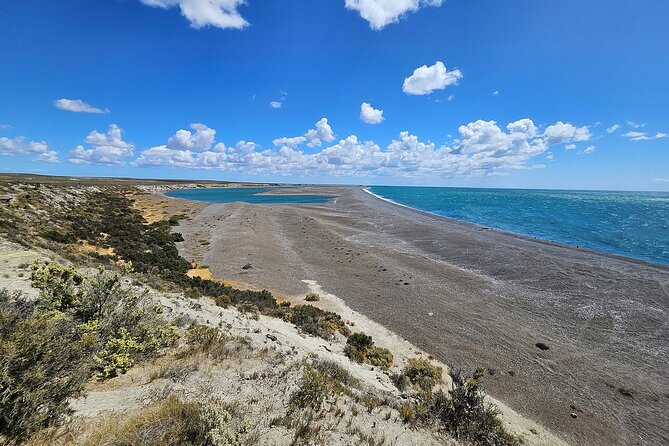 Peninsula Valdés Excursion with Whale Watching Included - Should You Book Peninsula Valdés With Whale Watching?