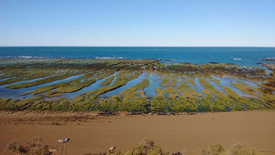 Peninsula Valdes: Shore excursion for cruise passengers - Key Points At A Glance