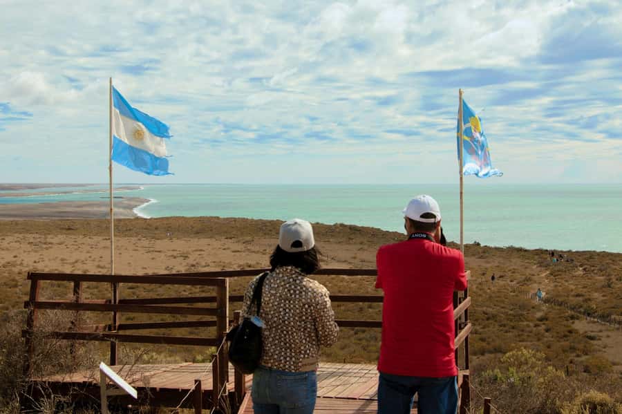 Peninsula Valdes Shore Tour for Cruise Passengers + City - Key points at a glance