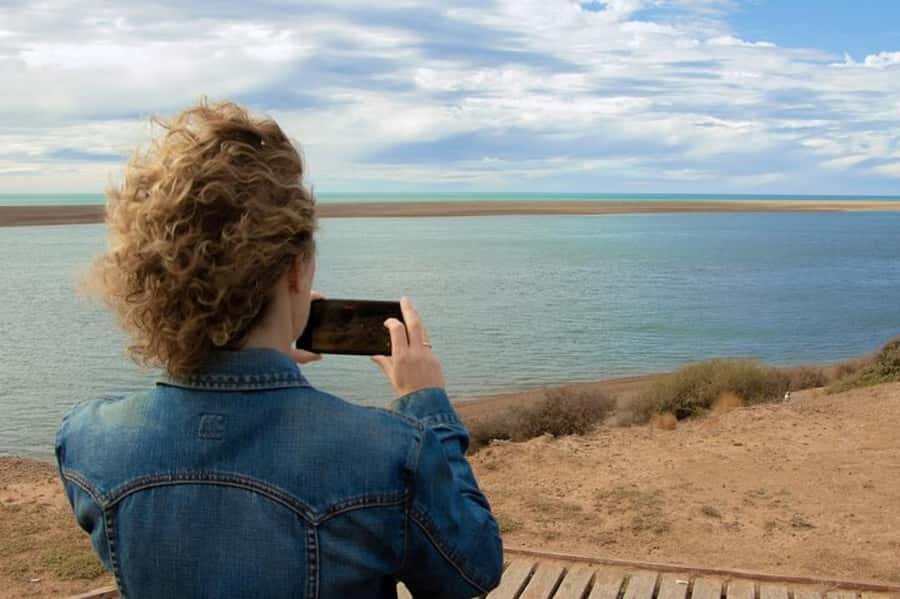 Peninsula Valdes Shore Tour for Cruise Passengers + City - Caleta Valdés and the southern elephant seals