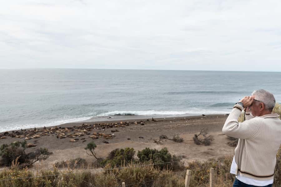 Península Valdés with Estancia San Lorenzo (Full Day) - Key points to know before booking