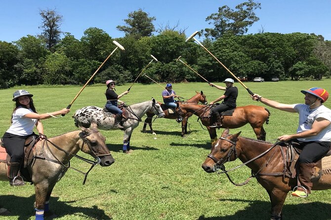 Polo Lesson Experience at Villa Maria with Argentinean Barbecue - Key points at a glance