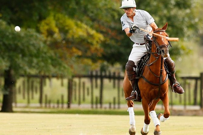 Polo Lessons from Buenos Aires by Polo Elite - Key Points Before You Book