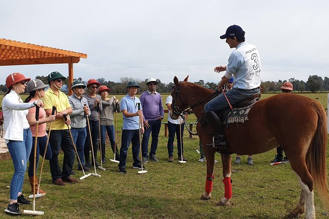 Polo Lessons from Buenos Aires by Polo Elite - Leaving Buenos Aires for the Polo Country