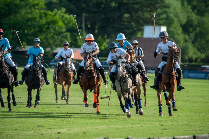 Polo Lessons in Mar del Plata: Learn and Improve Your Game - Key points about the Mar del Plata polo lesson
