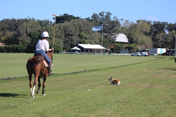 Polo Lessons in Mar del Plata: Learn and Improve Your Game - From explanation to practice on the field