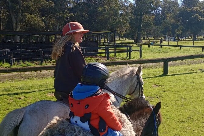 Polo Lessons in Mar del Plata: Learn and Improve Your Game - Is $130 good value for two hours?