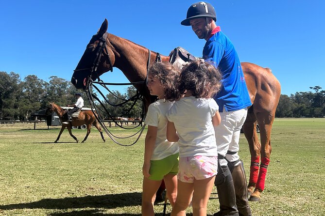 Polo Lessons in Mar del Plata: Learn and Improve Your Game - Summer polo and the club atmosphere
