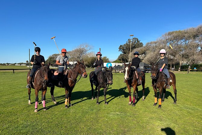 Polo Lessons in Mar del Plata: Learn and Improve Your Game - Who will enjoy this experience most?