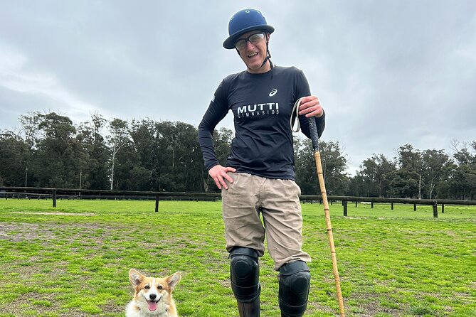 Polo Lessons in Mar del Plata: Learn and Improve Your Game - Why the horses matter for first-time players