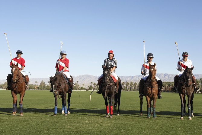 Polo Match, BBQ and Lesson Day-Trip from Buenos Aires - Key Things to Know Before You Book