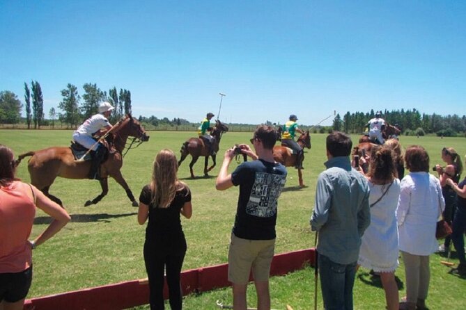 Polo Match, BBQ and Lesson Day-Trip from Buenos Aires - Watching Four Chukkas at Full Speed
