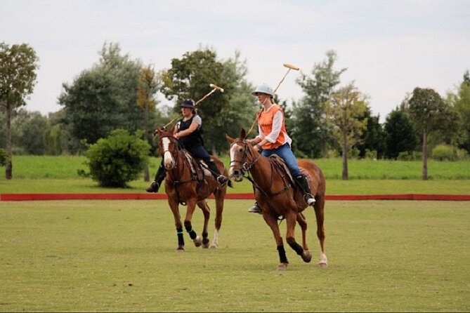 Polo Match, BBQ and Lesson Day-Trip from Buenos Aires - Empanadas, Malbec, and an Introduction to Polo