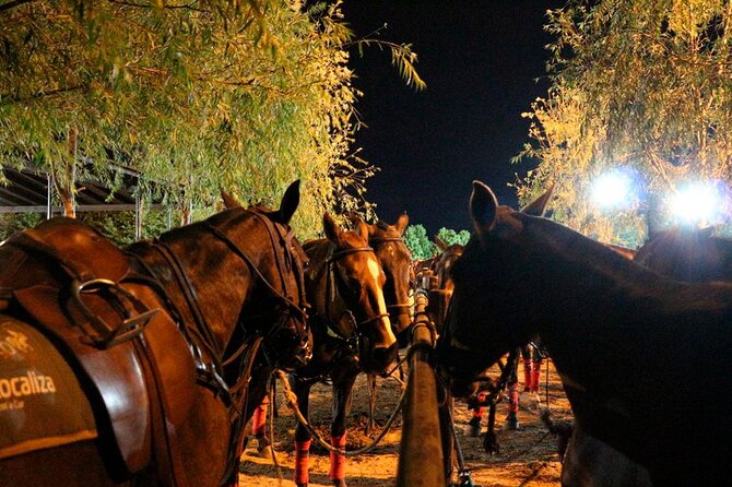 Polo Night – Sunset & Night Polo at an Exclusive Polo Club - Practical planning for the night