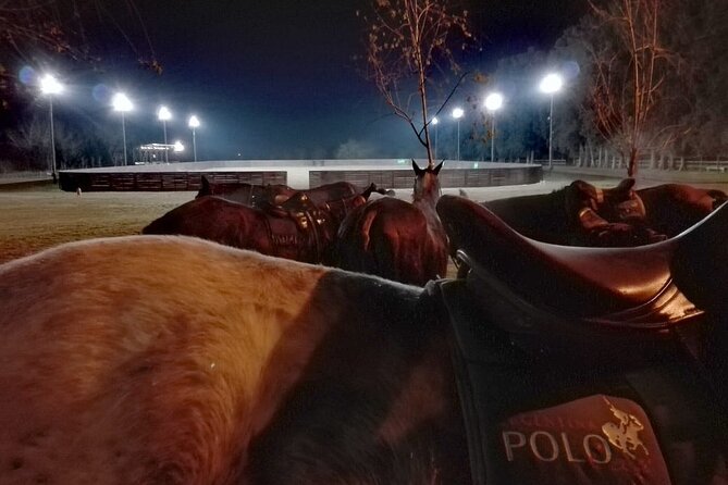 Polo Under the Stars and Argentine BBQ Evening Venue from Buenos Aires - Key points to know before booking