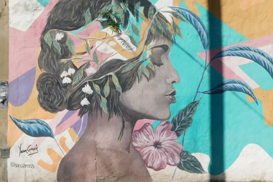 Premium Argentinian Wine and Malbec Tasting & Urban Art Tour - Key points at a glance