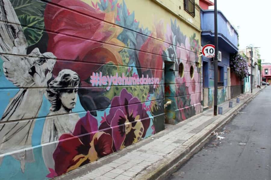 Premium Argentinian Wine and Malbec Tasting & Urban Art Tour - Guides can shape the entire afternoon