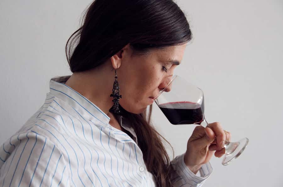 Premium Argentinian Wines and Malbec Tasting Experience - Key points to know before booking
