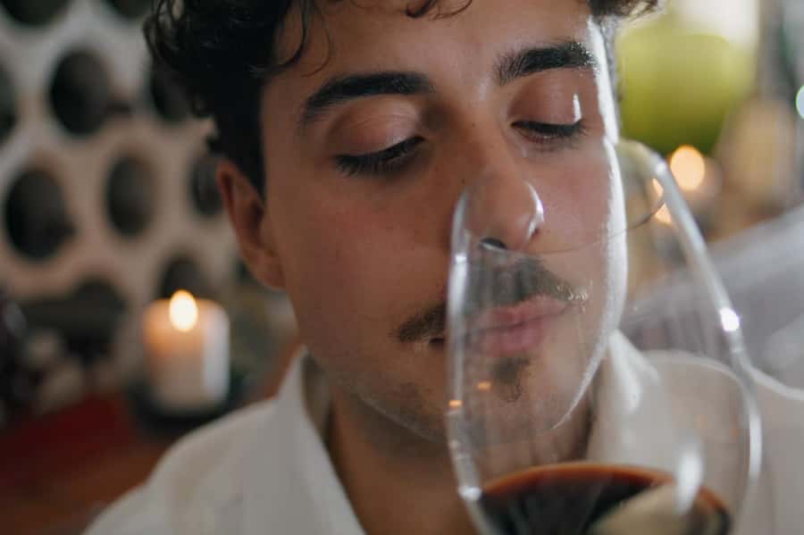 Premium Argentinian Wines and Malbec Tasting Experience - Who should book this experience?